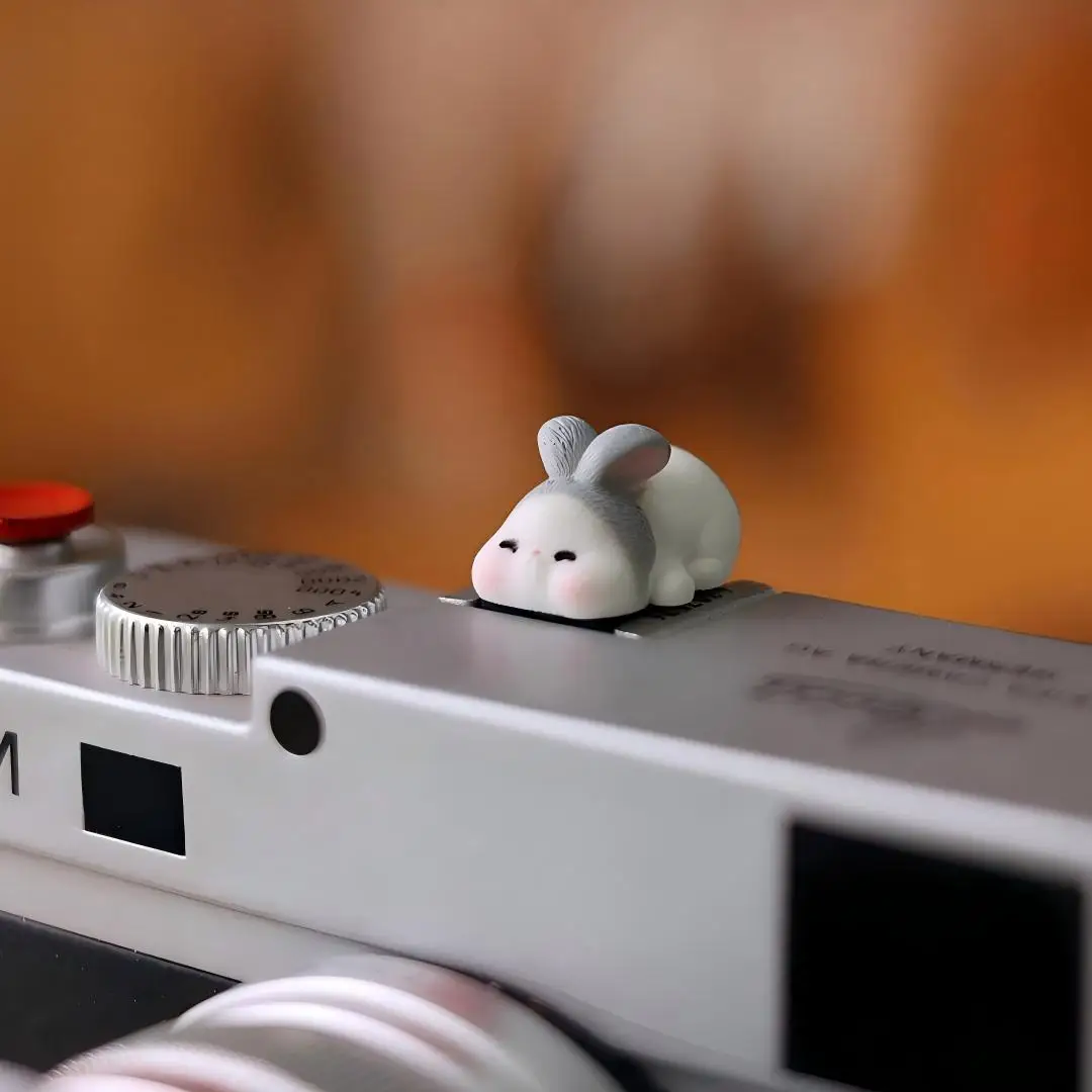 Забавная универсальная крышка  – обзор и цена Sony Camera Zv-E10